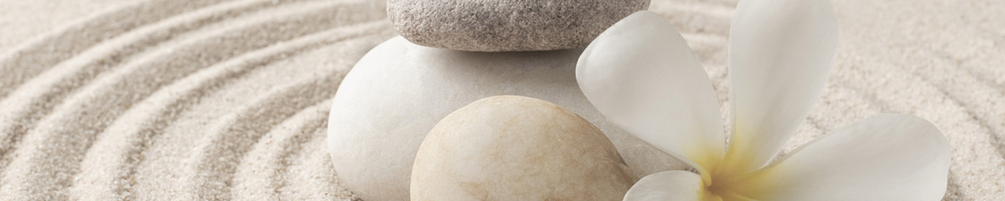 header prestations