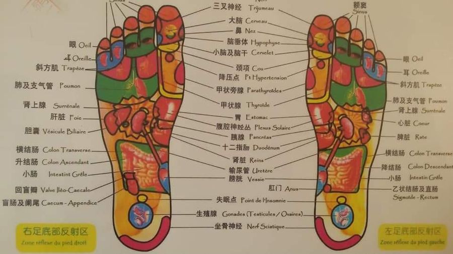 medecine traditionnelle chinoise faulquemont reflexologie schema
